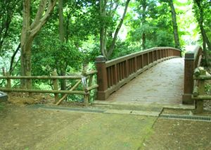 滝山城曳橋