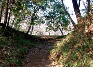 滝山城虎口