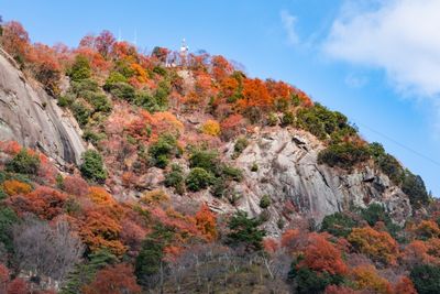 岩殿山